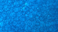 Textures foam bubbles