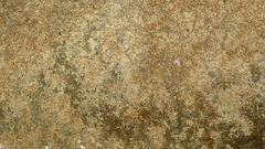 Textures grass please can some get dsc