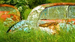 Textures grass vintage