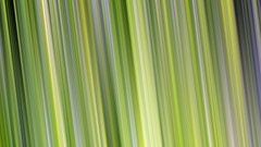 Textures Green abstract lines