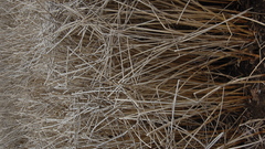 Textures high dsc Resolution