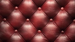 Textures interior couch