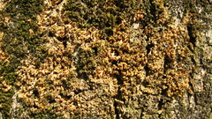 Textures Italy and skies otherplaces