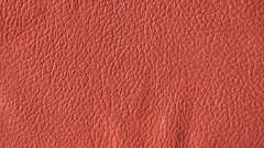 Textures leather