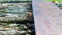 Textures nature abstract metal Templates Wood backgrounds