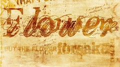 Textures paper old Typography Bricks grunge