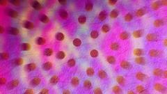 Textures pink purple abstract Pixels skin dots