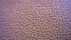 Textures rubber sole chi