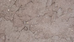 Textures soil