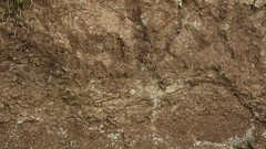 Textures soil