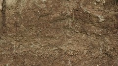 Textures soil