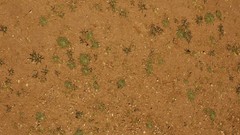 Textures soil