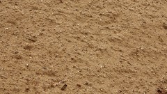 Textures soil