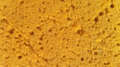 Textures sponge