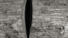 Textures too forgot had