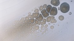 Textures water abstract oil