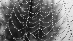 Textures water dew drop artwork condensation