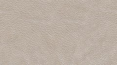 Textures white leather