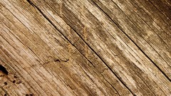 Textures Wood