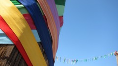 Textures Wood multicolor skies