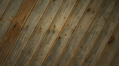 Textures wood texture