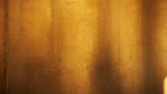 Textures wood texture