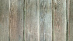 Textures Wood wood texture