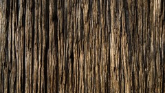 Textures Wood wood texture