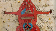 Th century Egyptian anatomy