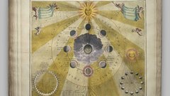 Tha breast high girl