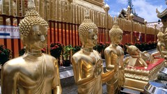 Thailand Monastery golden mai