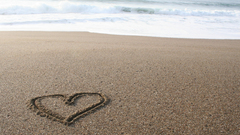 Thanks have Another high