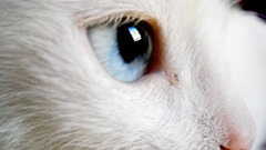 Thanks lot high again once alright Resolution