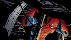 The amazing Spider-Man