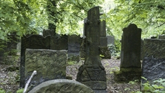 The biggest Jewish cemetery