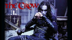 The crow bird