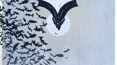 The Dark Knight bats Batman The Dark Knight Rises