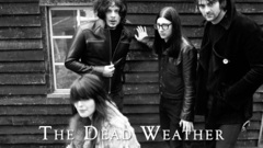 The dead weather