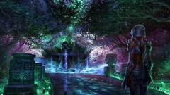 the elder scrolls online video games 2014 (Year) PC gaming RPG