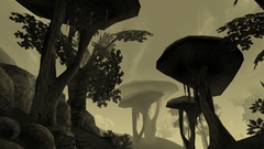 The elder scrolls The