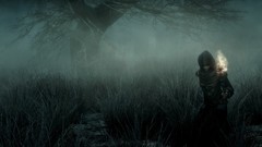 The elder scrolls v skyrim