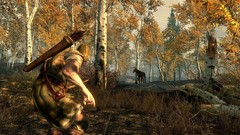 The elder scrolls v skyrim