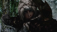 The elder scrolls v skyrim