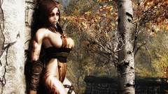 The elder scrolls v skyrim