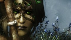 The elder scrolls v skyrim