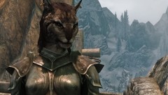 The elder scrolls v skyrim