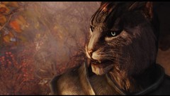 The elder scrolls v skyrim