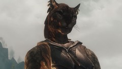 The elder scrolls v skyrim