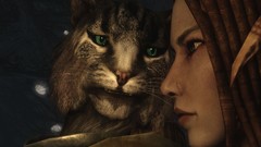 The elder scrolls v skyrim