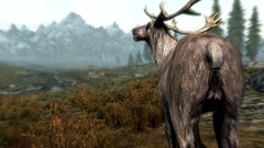 The elder scrolls v skyrim
